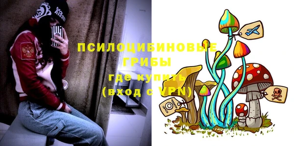spice Видное