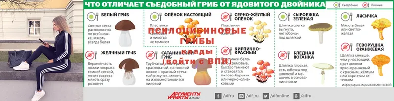 Галлюциногенные грибы Psilocybine cubensis  ОМГ ОМГ ТОР  Клин  где продают  