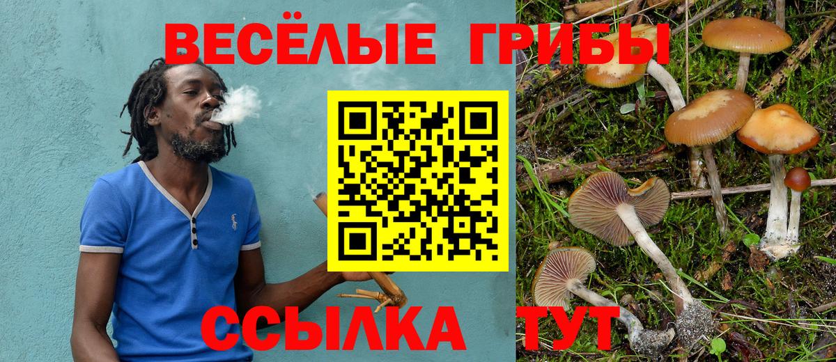 Галлюциногенные грибы прущие грибы  Вход с VPN  наркотики  Клин 