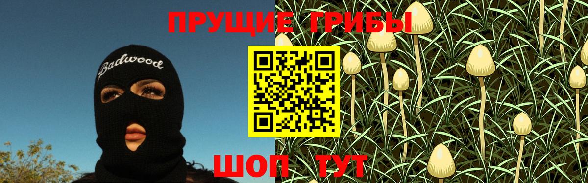 Псилоцибиновые грибы GOLDEN TEACHER Клин