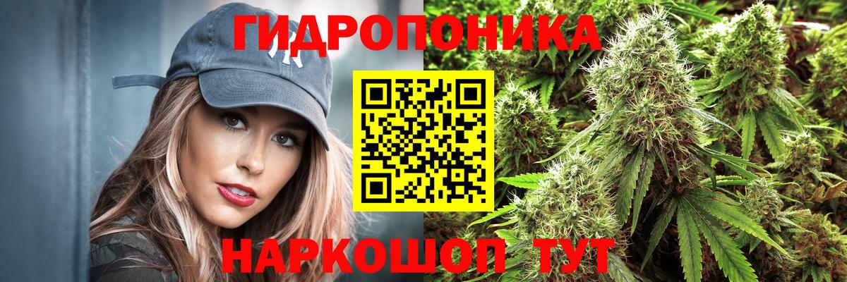 ГАШ Клин